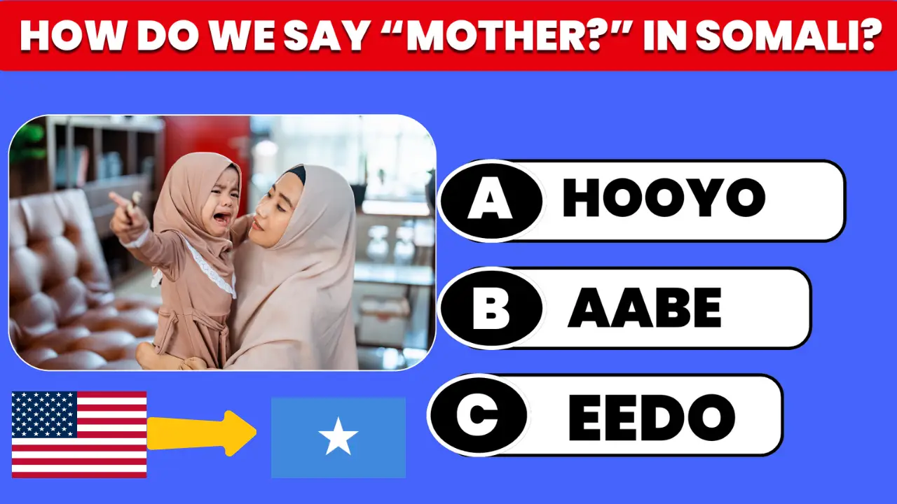Learn Somali Words | English Quiz with 50 Useful Phrases & Videos
